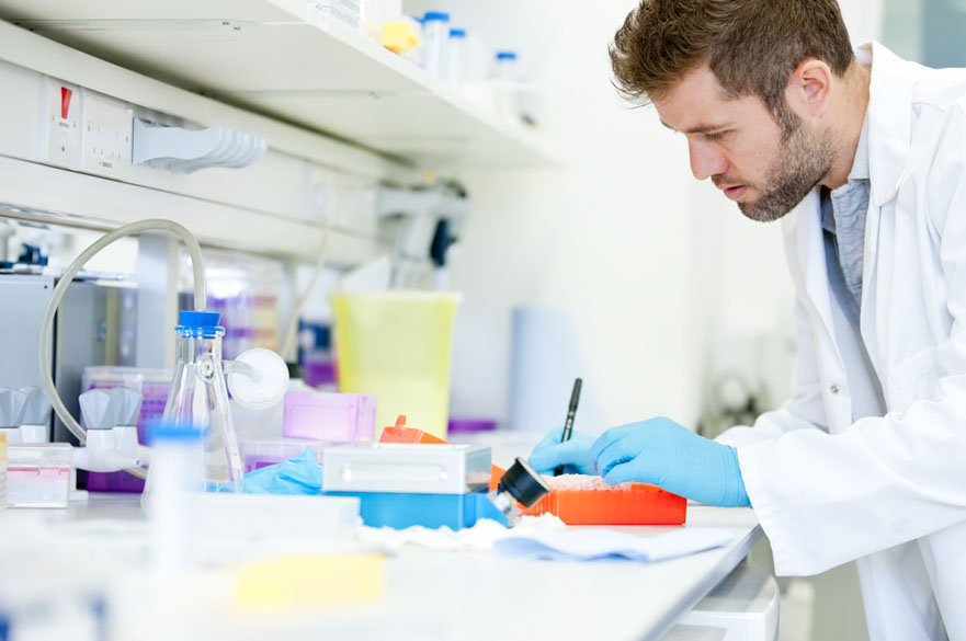 Scientific experiement