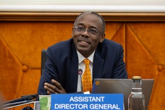 Assistant General Director