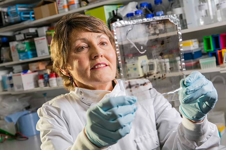Ellen Billet researcher