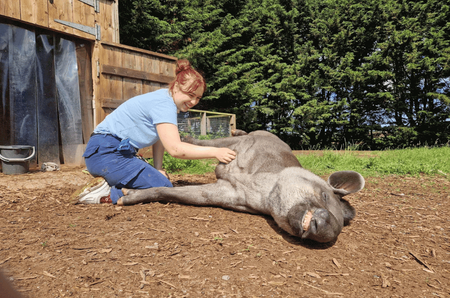BSc (Hons) Zoology student Charlotte Goodchild with a zoo animal