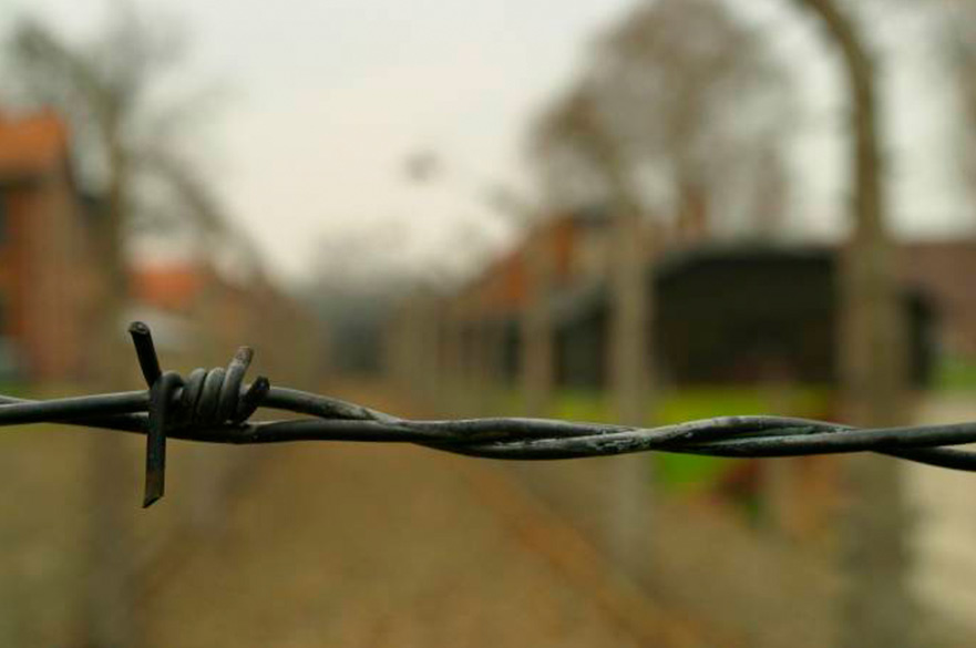 Black Wire in Park
