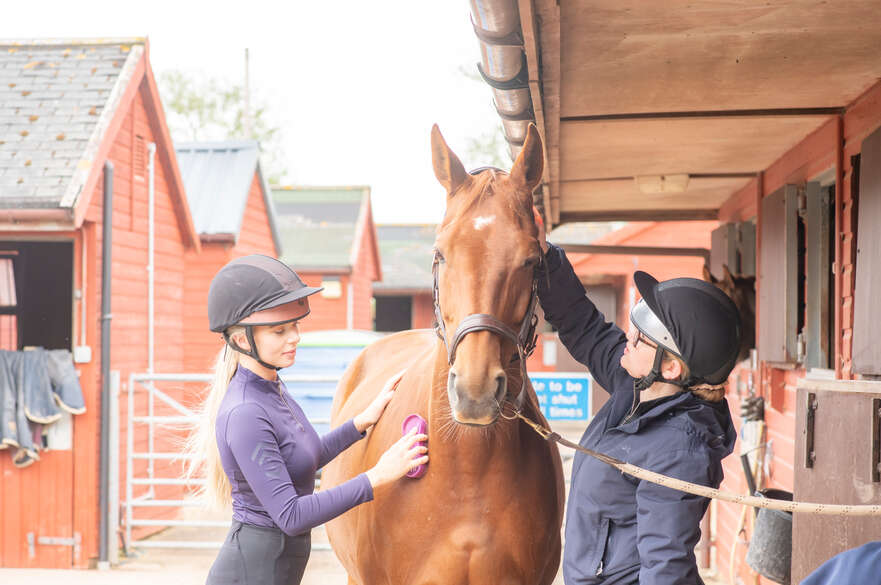 Tutor and student standing next to horse looking at bandage