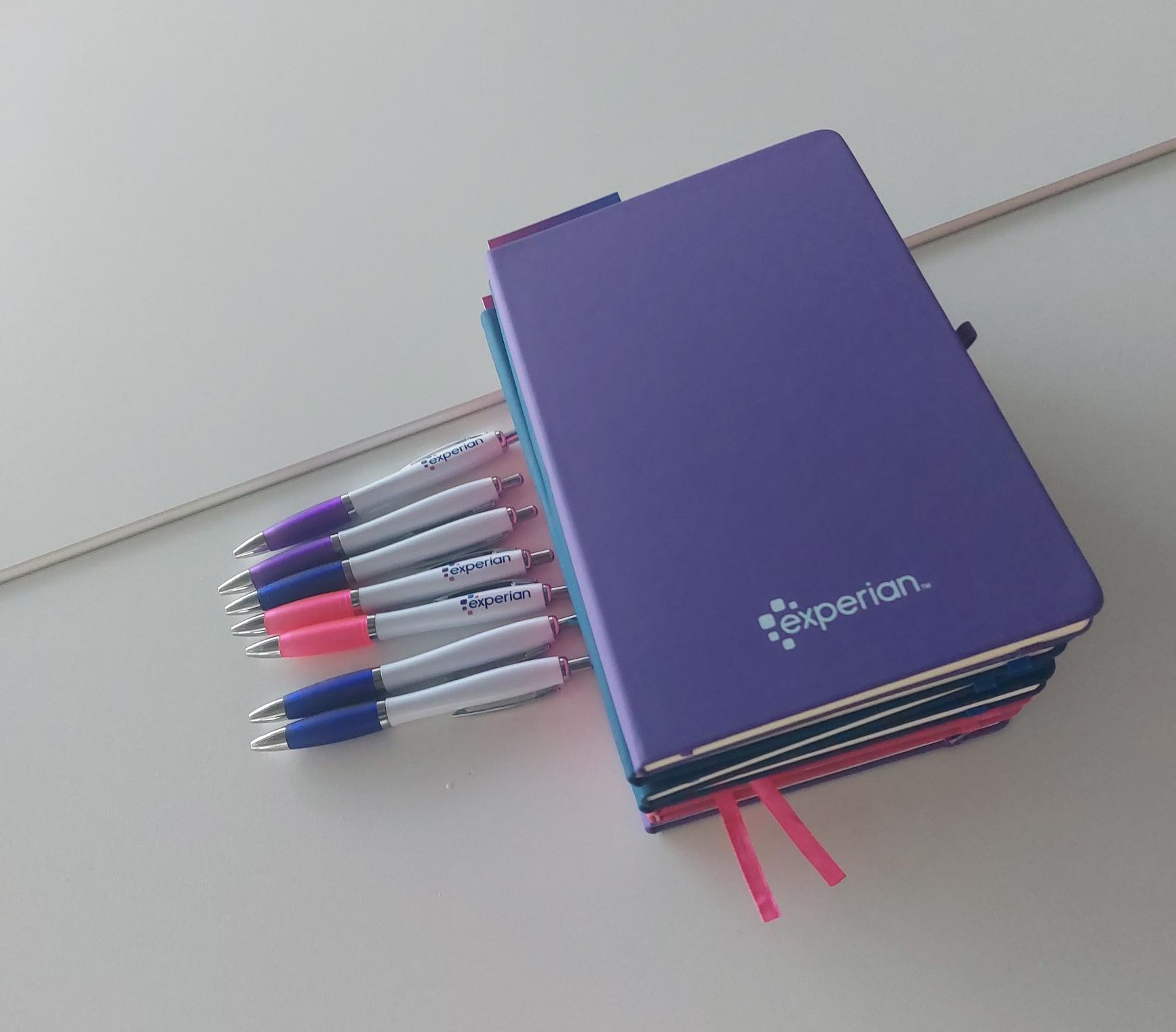 Experian branded notebooks and pens