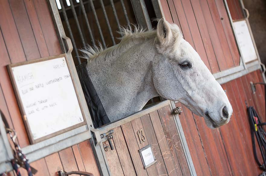 Equestrian Centre at Brackenhurst