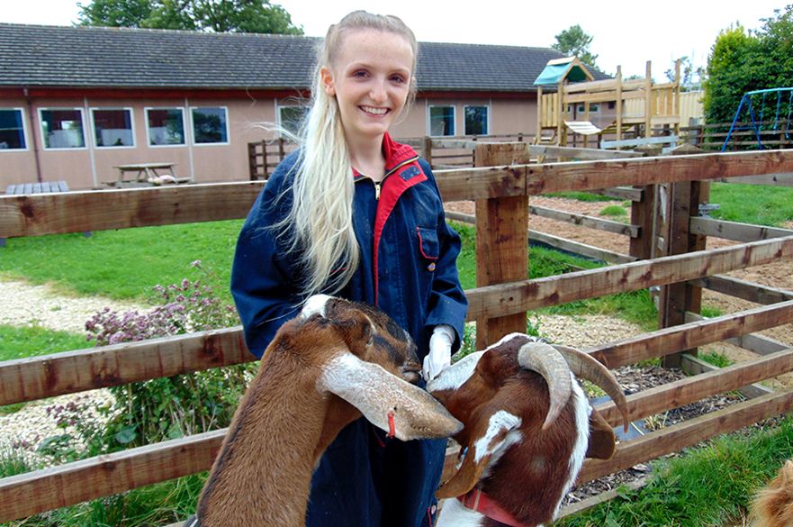 Student feeding goats