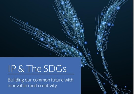 IP & The SDGs report