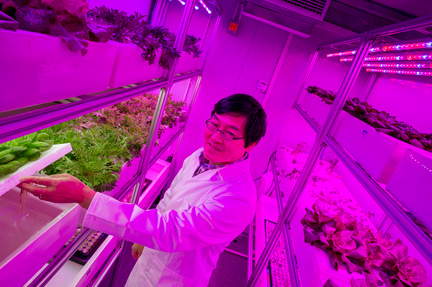 Chungui Lu inside the vertical 'container farm'