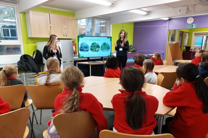 Lauren Moore hedgehogs in primary schools workshop
