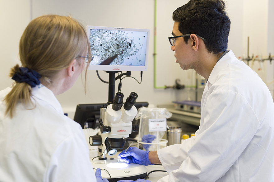 Students working in lab