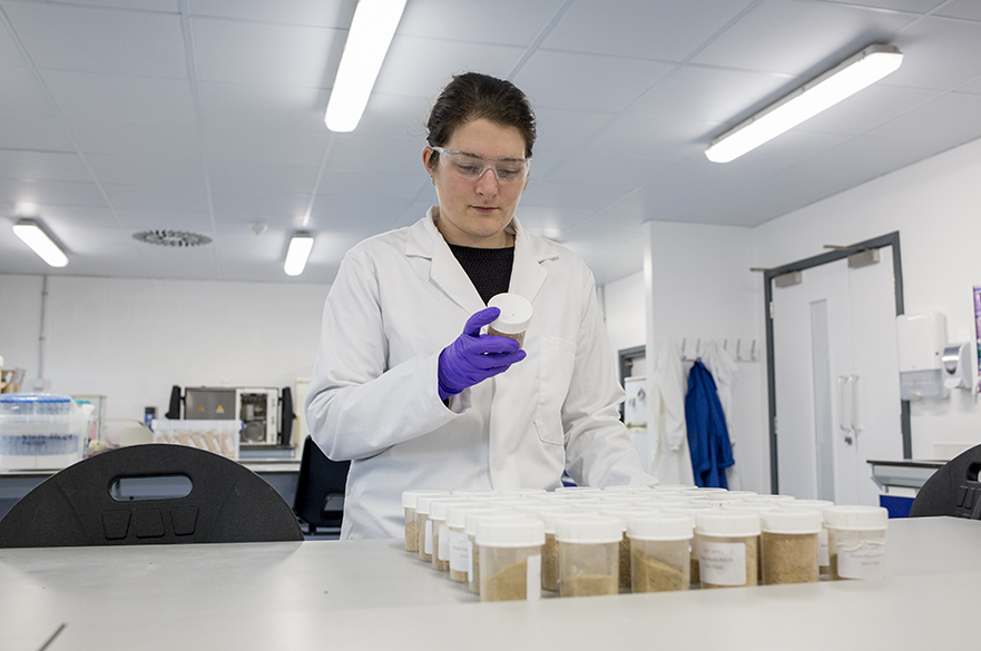 Student analysing food in lab