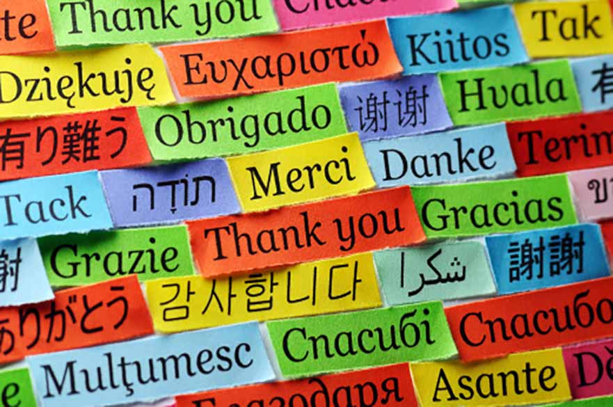 University Language Project