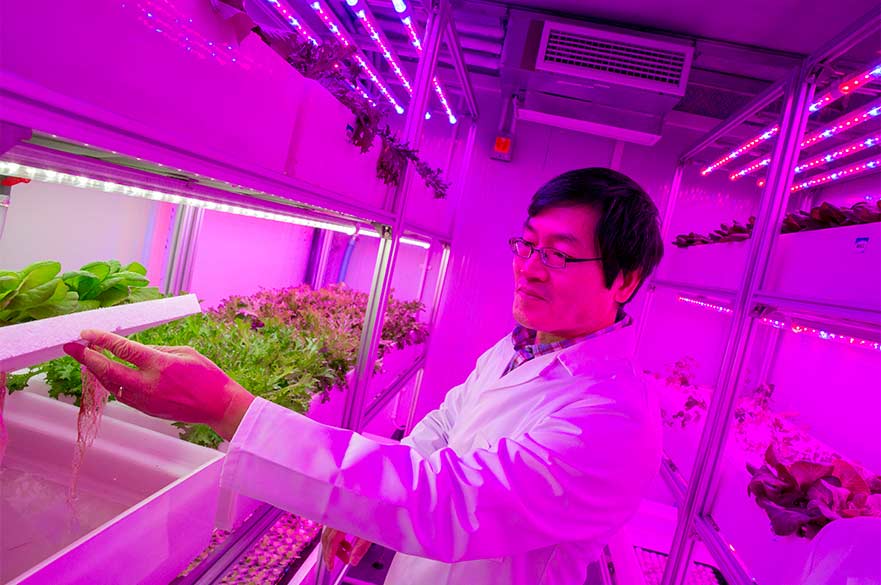 Vertical farming