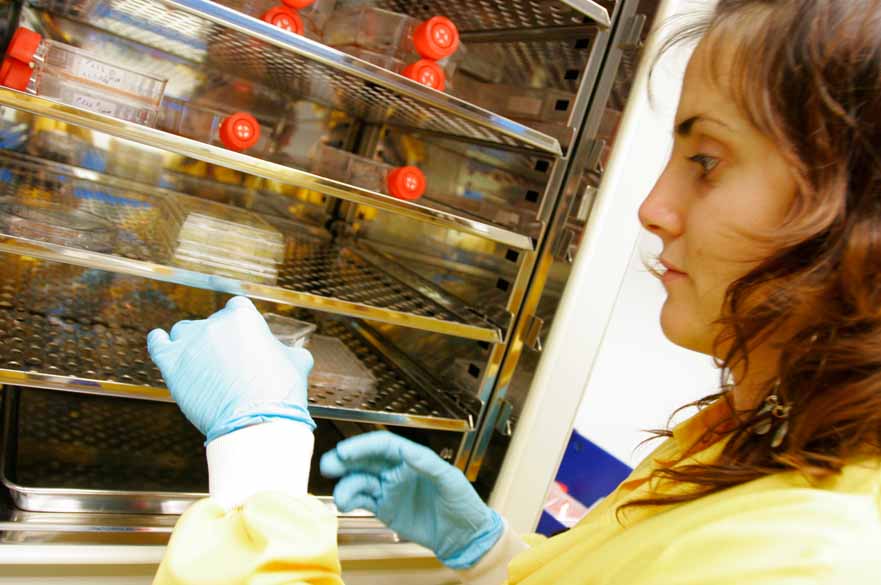 Student putting specimen trays onto shelves