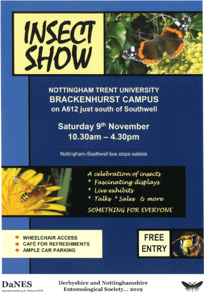 Insect Show Promotional Poster