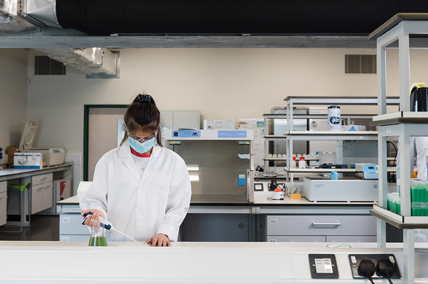 Student working in lab