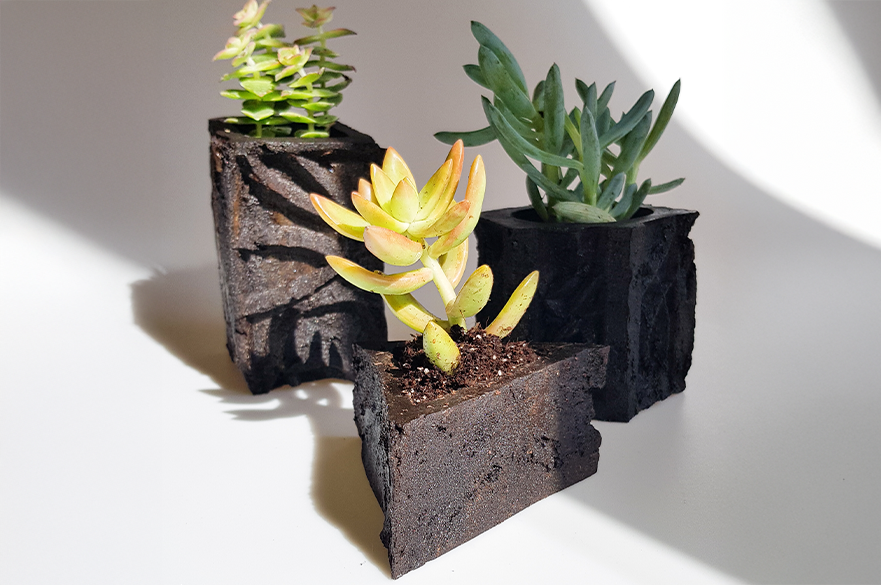 Three plants in pots.