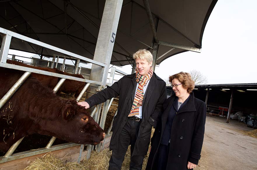 Jo Johnson MP