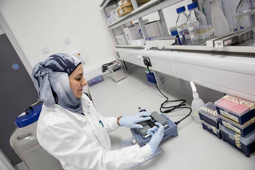 Neurobiology, Toxicology and Pharmacology