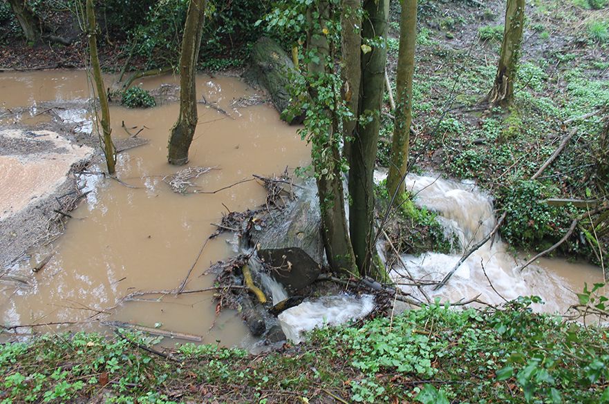 Brack flood management scheme