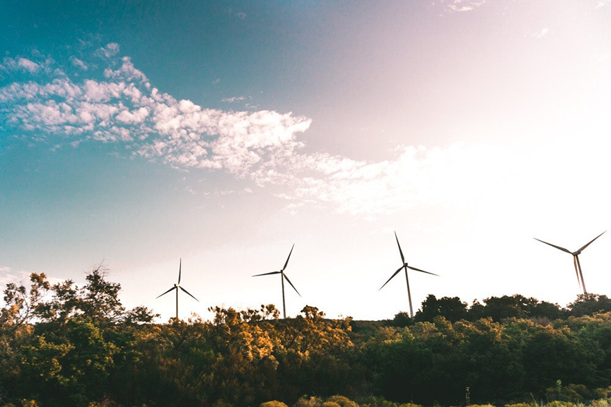 Wind turbines in a field