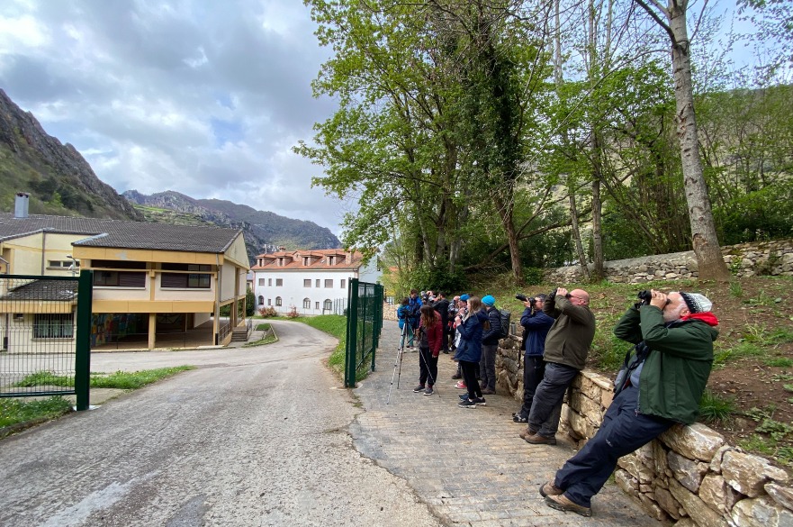A group of students studying brown bears in Spain