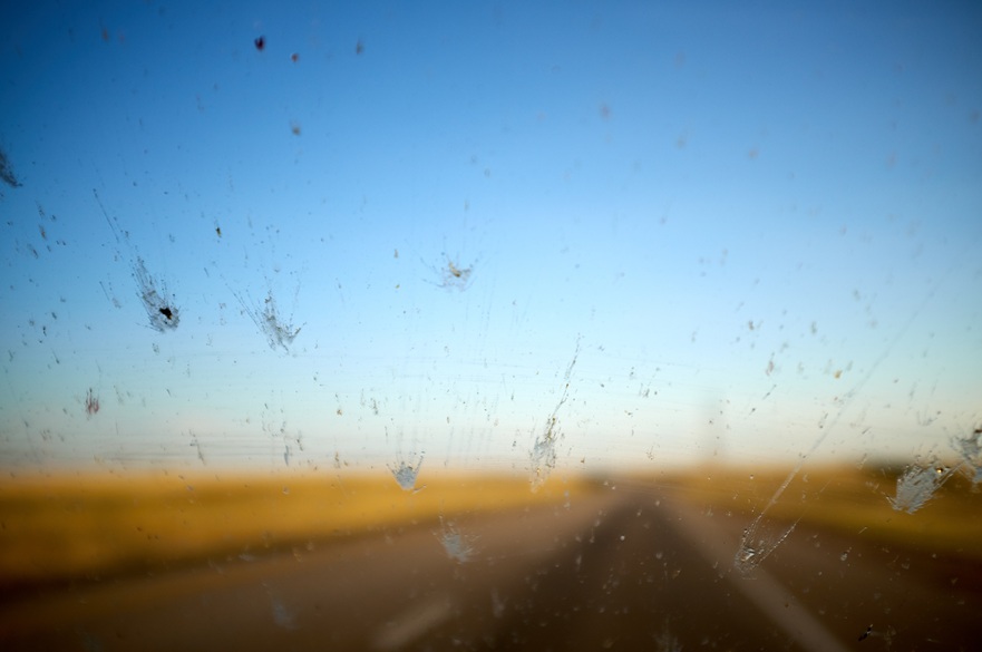 Squashed insects on windscreen