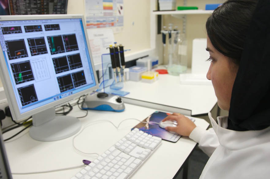 A girl looking at science on computer