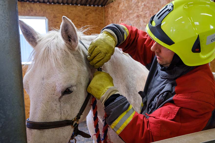 Fire and Rescue training at Brackenhurst Equestrian Centre