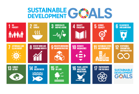 Logos of Sustainable Development Goals
