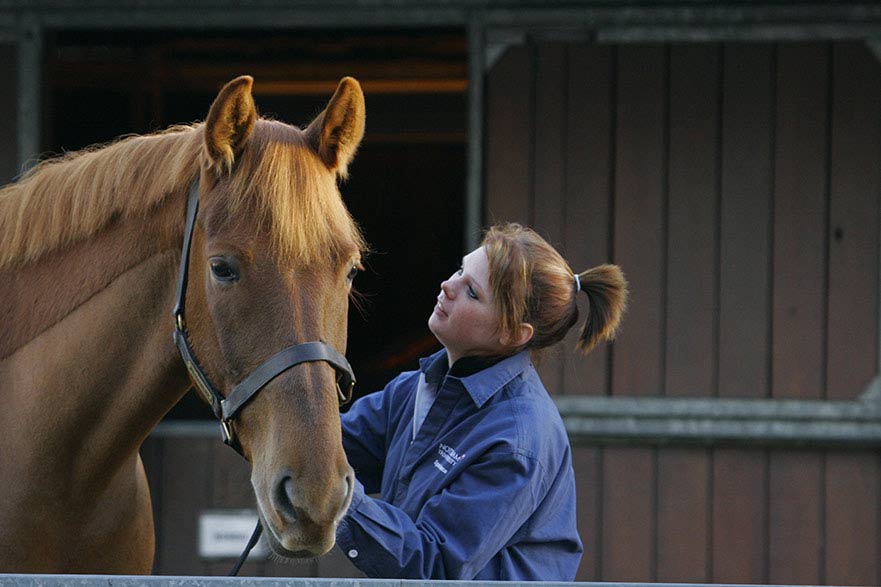 Student with horse