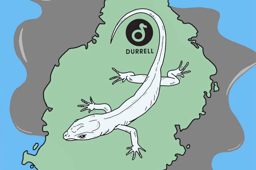 Poster to raise money for Durrell Wildlife