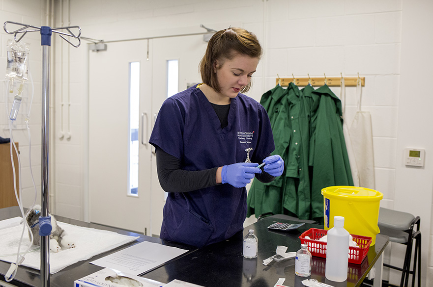 Vet Nursing Laboratory
