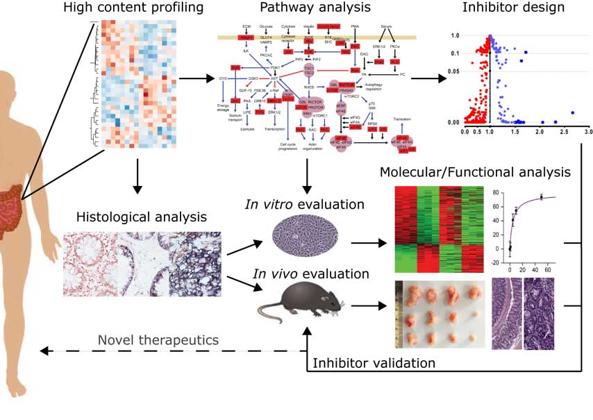 decoding the dark matter of cancer information table