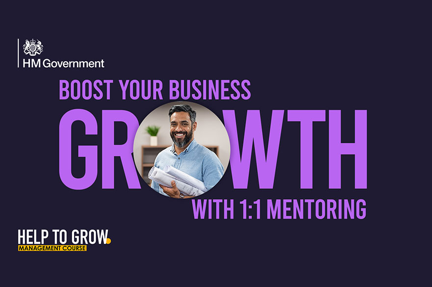 Help to Grow Growth