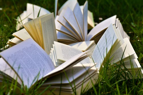 Multiple books open on green grass.
