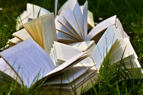 Multiple books open on green grass. 