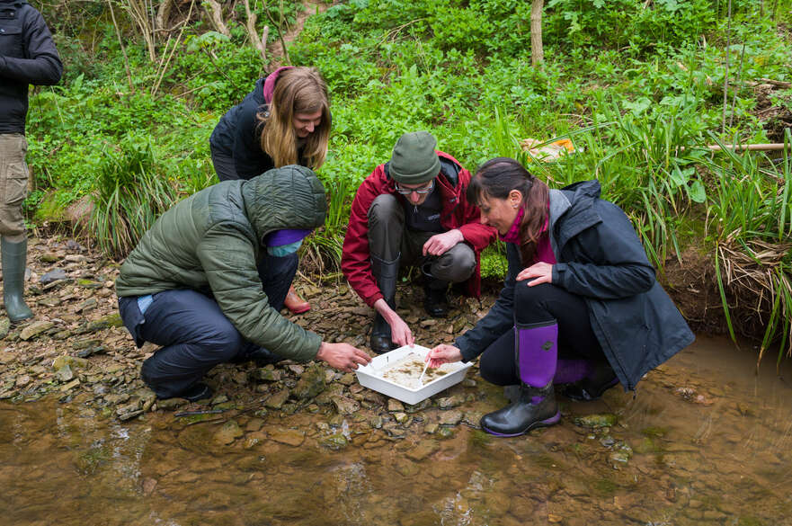 A group of students helping to conduct a river survey by collecting samples on campus