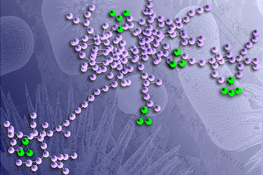 Atomic structure of a biological molecule