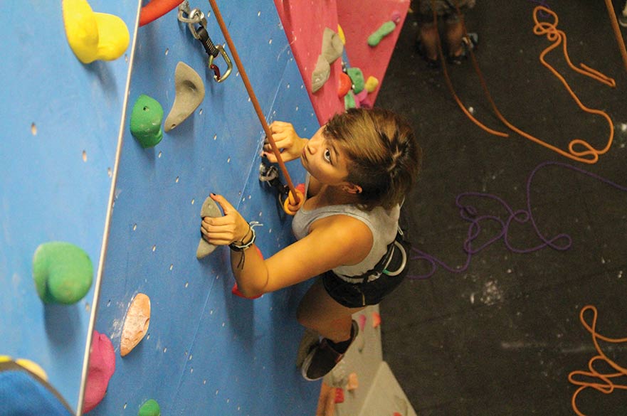 Climbing Wall
