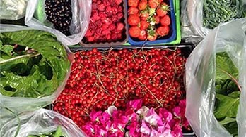 Fruit and vegetables