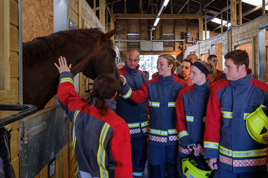 Fire and rescue training at Brackenhurst Equestrian Centre