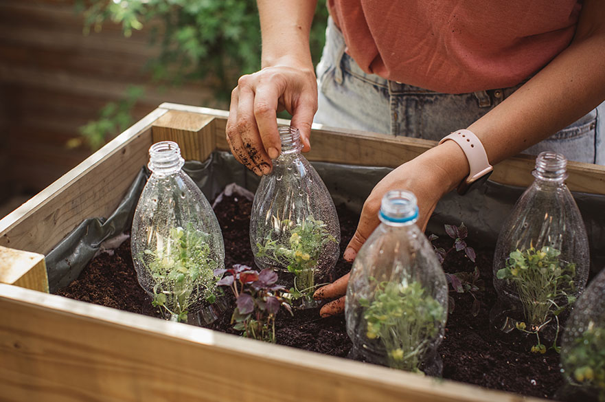 Sustainable growing