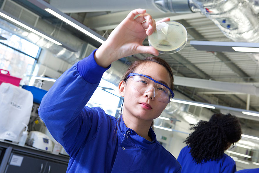 A student in a science laboratory