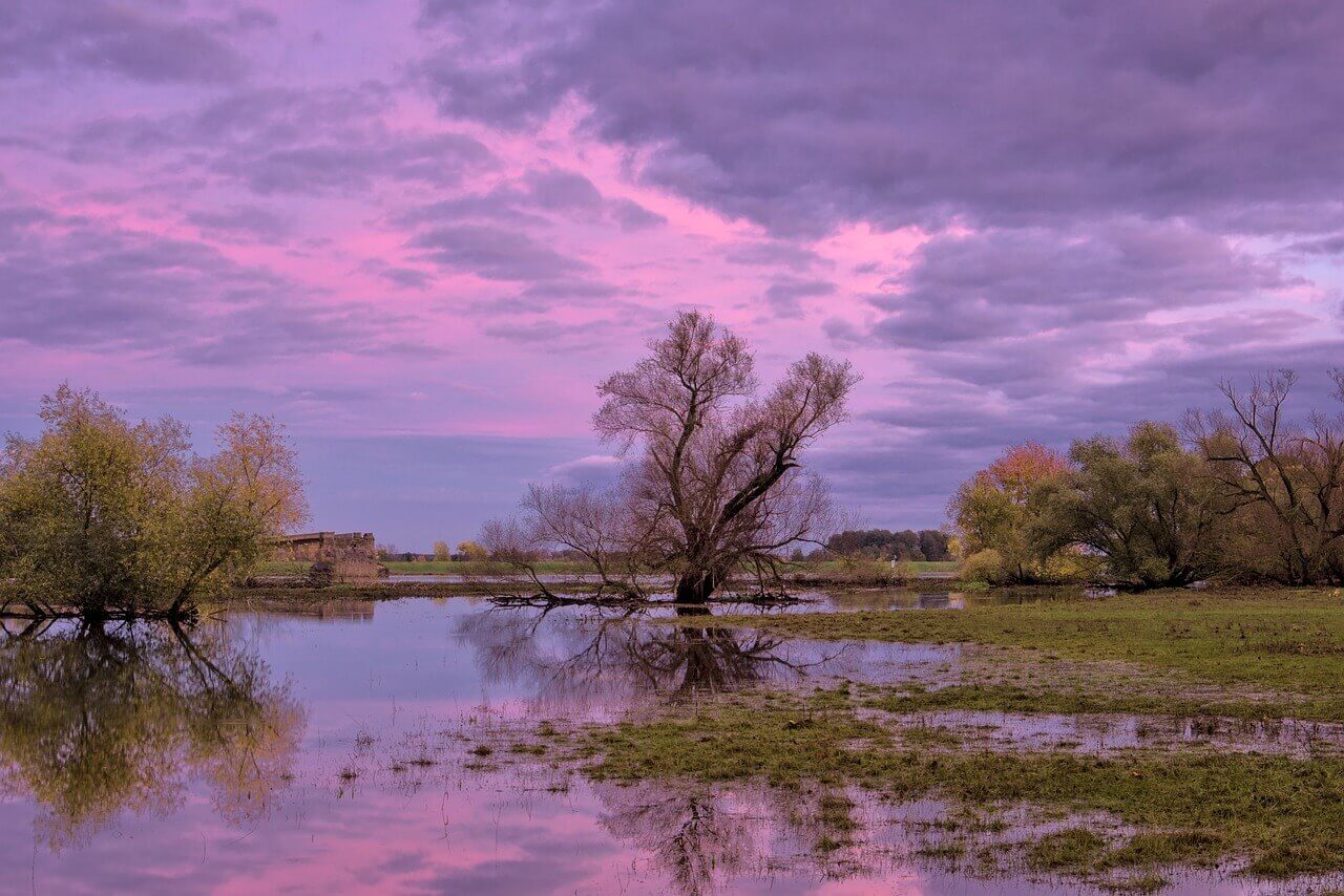 A picture of flooded fields