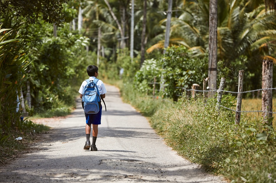 Schoolboy in uniform is walking to school. Rear view boy with backpack on rural road in Sri Lanka..