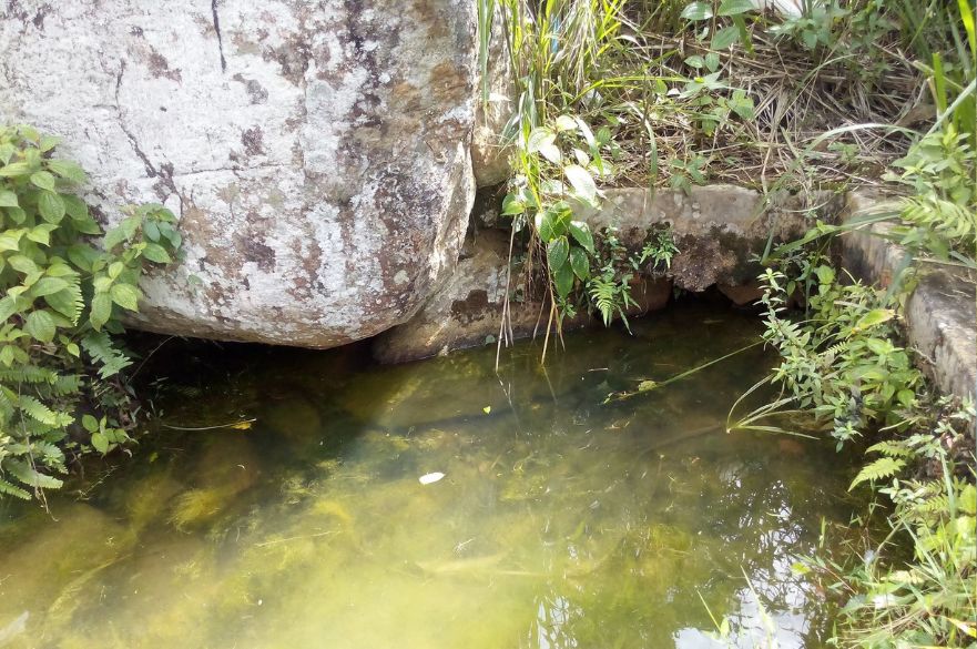 Pool of unclean water where villagers get their drinking water