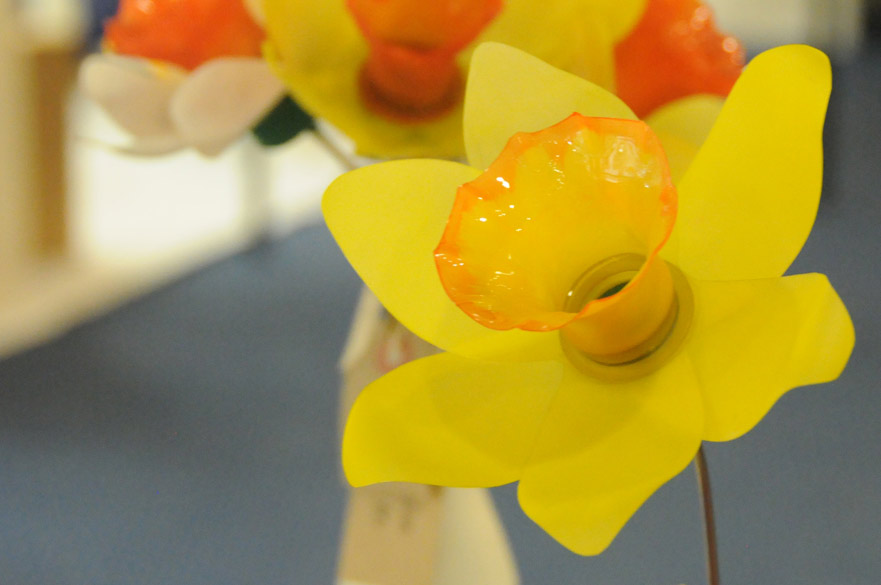 Daffodils