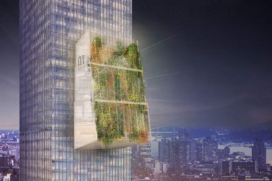 The winning design, the Organic Grid +