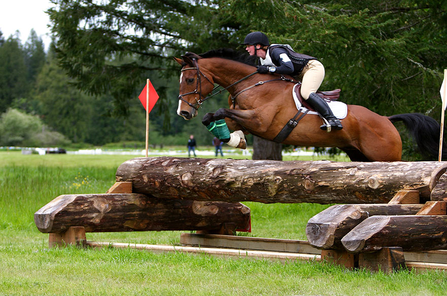 Equine eventing