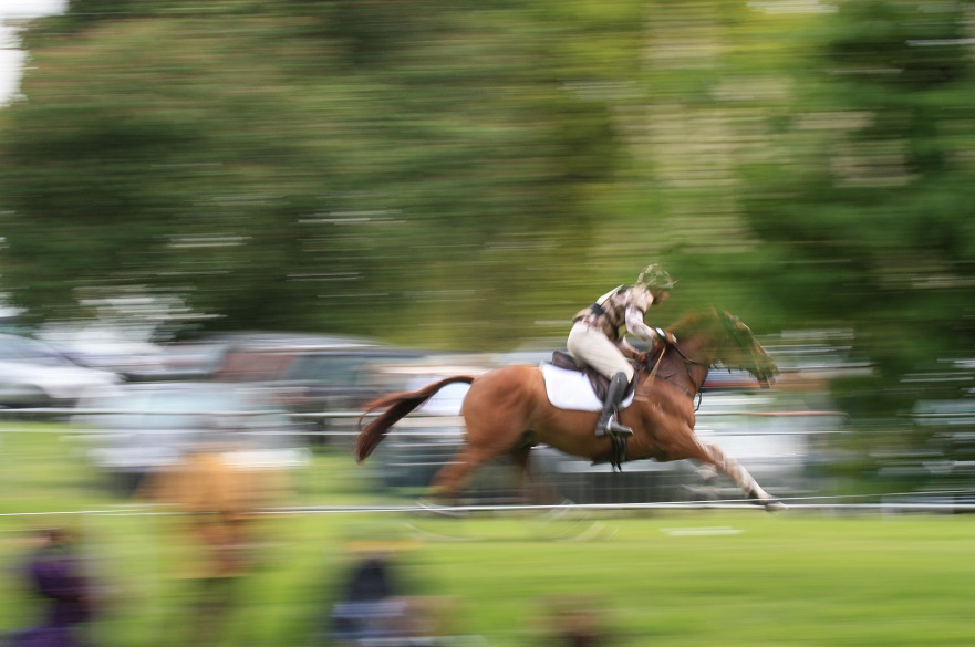 Horse and rider